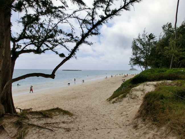 電動自転車でスイスイです。<br /><br />カイルアビーチの駐車場の柱に自転車をくくりつけて<br />ちょっとした丘陵を上ると･･･。