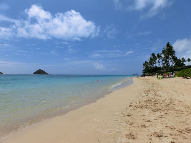 誰もいない雰囲気で　パチリ。