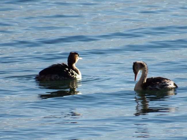 まぁいいでしょう。