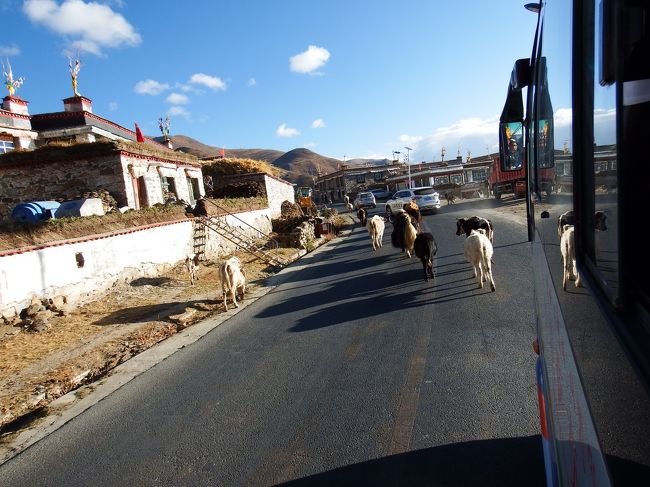 どいてよー！<br />っていうか、バスの方が頑張って避けて進む。