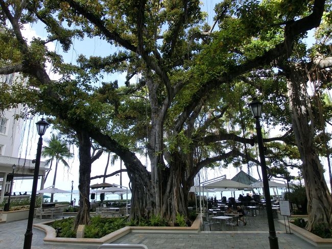 バニヤンツリーを通って･･･｡