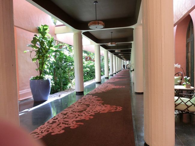 この通路もピンクで綺麗です。