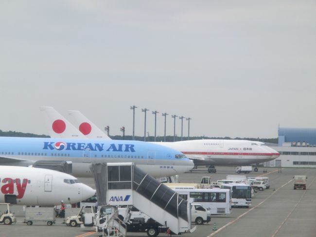 奥に、２機。政府専用機が見えました。