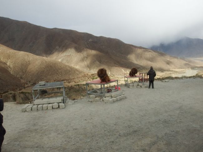 10時25分頃青空トイレ休憩。<br />ここは区間時間制限があって、時間をかけて通過しないといけない場所でもあるので、その時間つぶしでもあります。