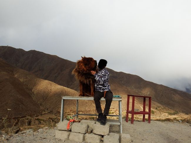 よっしゃ。私も折角なので20元で記念撮影頼むわ。