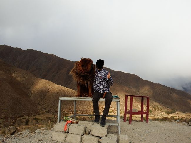 めっちゃおとなしくてお利口さん。