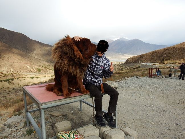 最初はちょっと怖かったけど、この子はきっと普通に接する分には何も動じない感じ。