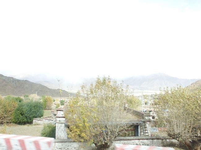 順調に下っていきます。