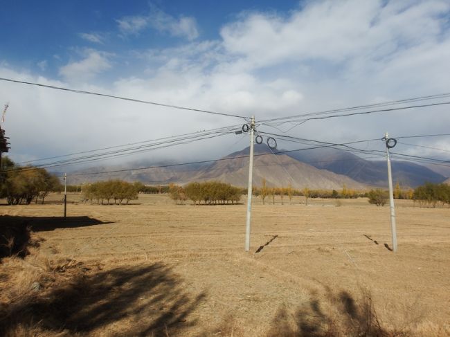 十字に交わる電線。<br />電柱が農作業の機械化の邪魔になりそう。