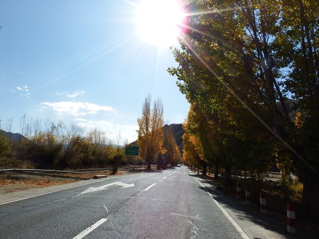 日光が気持ちいいね。