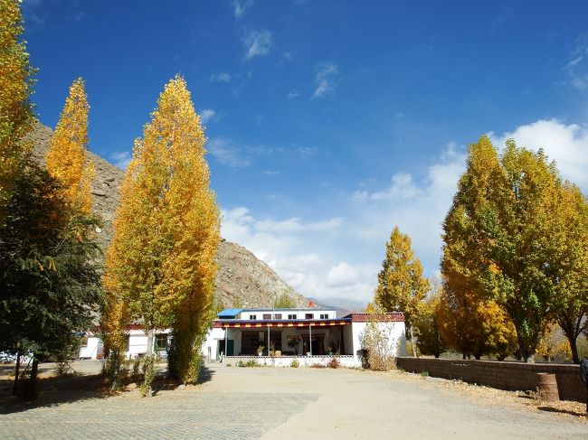 トイレは何と無料。<br />奥に家がある？売店もあるような気もしますが、営業している雰囲気はなし。<br />売り込みも無し。謎のスペースです。