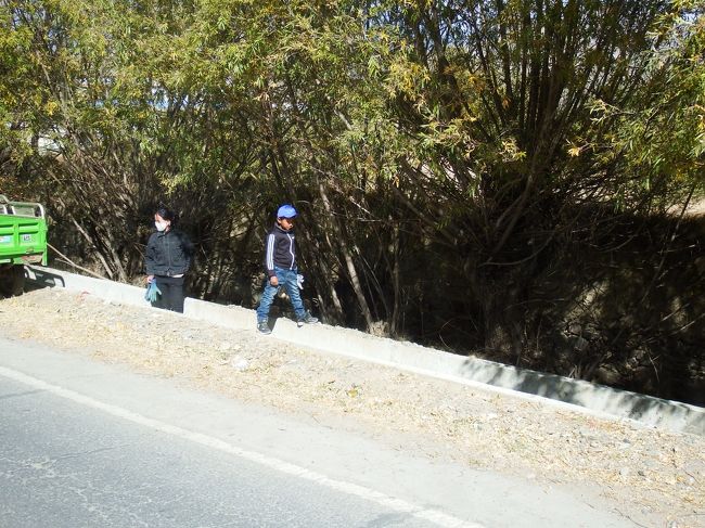 地元民。<br />西のほうのオールドティンリーとかの方が環境が厳しいのか、雰囲気が結構違う。