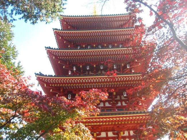 新撰組ゆかりの地を巡り 高幡不動尊の紅葉を見に行く 日野 昭島 東京 の旅行記 ブログ By かつのすけさん フォートラベル