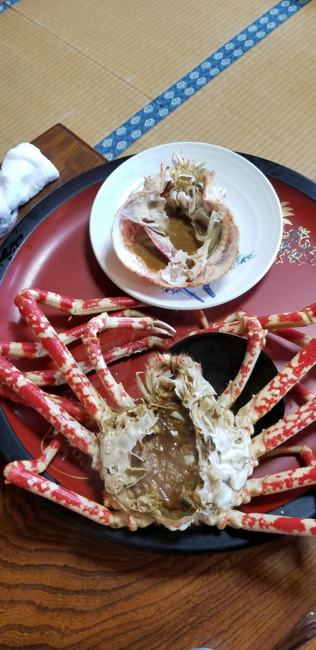 伊豆 戸田 タカアシガニに挑戦の巻 戸田 静岡県 の旅行記 ブログ By タブラオさん フォートラベル 伊豆 戸田 タカアシガニに挑戦の巻 戸田 静岡県 の旅行記 ブログ By タブラオさん フォートラベル