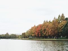 母が紅葉の水元公園が綺麗だと言う噂を聞き突如プチ旅行に行くことにw


紅葉は来週の方が綺麗だったかな…？
