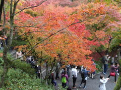 東福寺の通天橋・普門院庭園もすごい人出です。