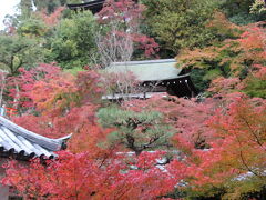 多宝塔と紅葉
