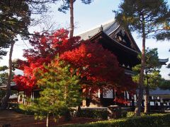 所用を済ませてから向かったのは
相国寺。

せっかく秋の京都に来たのだから、
紅葉だけじゃなく、秋季の特別拝観にも行きたかったのです。

法堂の鳴き龍、ちゃんと鳴いてくれました。
秀頼によって再建されたところです。