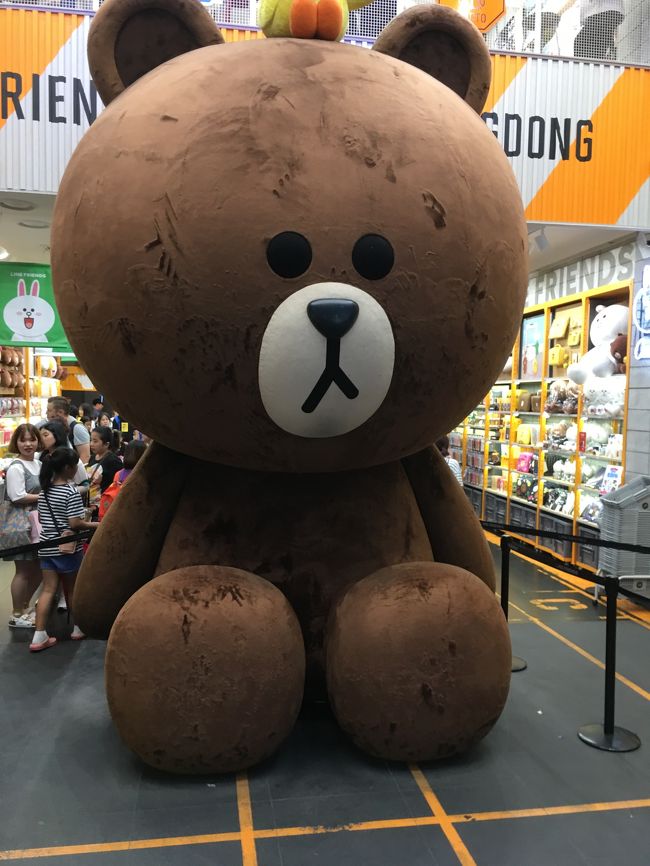 明洞LINE SHOP<br />かわいいブラウン