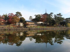 猿沢の池から、興福寺方面を眺めつつ