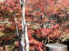 台風24号の塩害か 花貫渓谷イマイチの紅葉 お肉のグルメランチの日帰りドライブ 高萩 茨城県 の旅行記 ブログ By Comodoさん フォートラベル 台風24号の塩害か 花貫渓谷イマイチの紅葉 お肉のグルメランチの日帰りドライブ 高萩 茨城県 の旅行記 ブログ By Comodoさん フォートラベル
