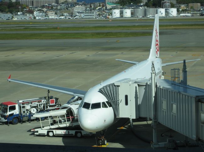 サクッとチェックイン　<br /><br />キャセイが撤退し福岡空港はキャセイドラゴンが就航。<br /><br />台北経由香港さらに東南アジアで何度か搭乗した頃は良かった。