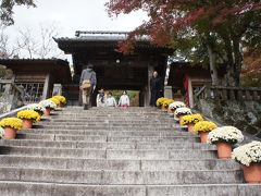 修禅寺


菊飾りは11月14日まで、15日からはもみじ祭りだったようですが、あちこち菊の鉢がありました