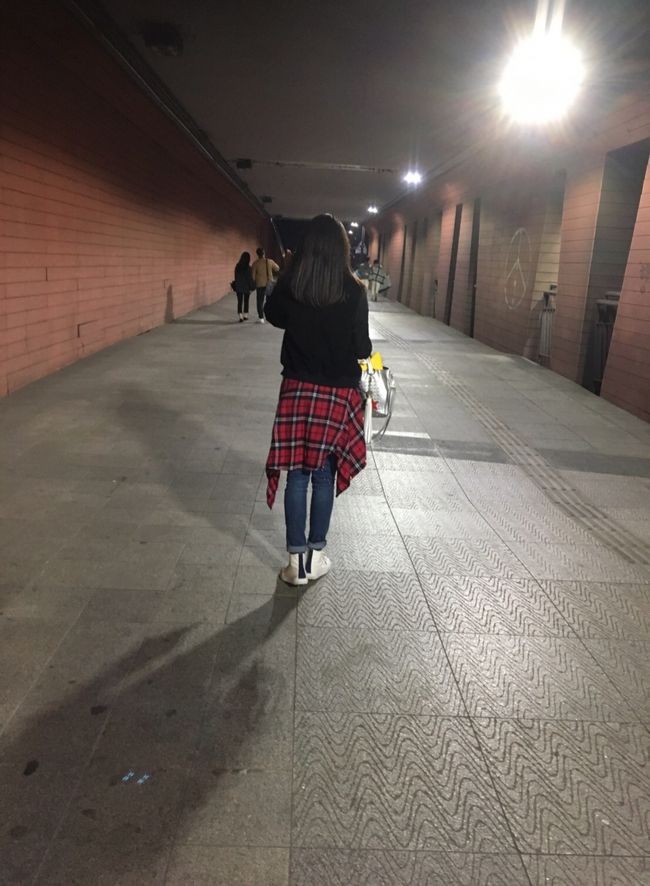 高速ターミナル駅から盤浦公園へ