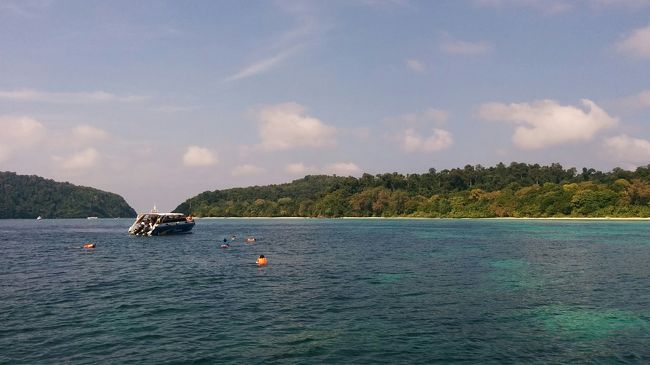 ロックヤイ島で一本目のシュノーケル。<br />透明度１０Mでなかなか良い。<br />珊瑚も勢いがある。魚はあまり大物はいないがキンセンフエダイの幼魚が珊瑚の上で群れていて楽しめる。成魚と同じように一斉に向きを変えたりする。