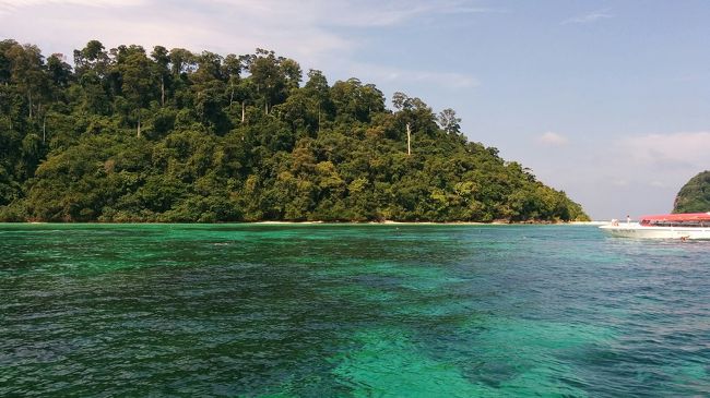 珊瑚もびっしりと付いている。<br />子どももいるのでイソギンチャクに棲むトウアカクマノミやハナビラクマノミをガイドが見せていた。