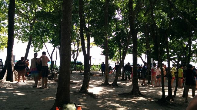 次から次へとボートが到着しあちらこちらで同じような光景が見られる。