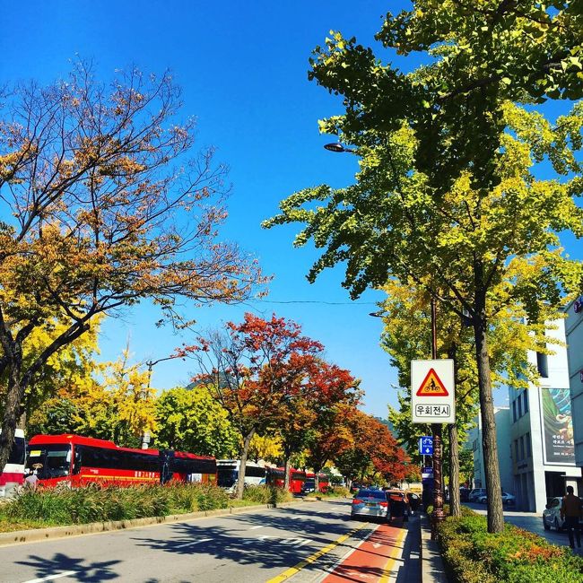 景福宮から北村韓屋へ