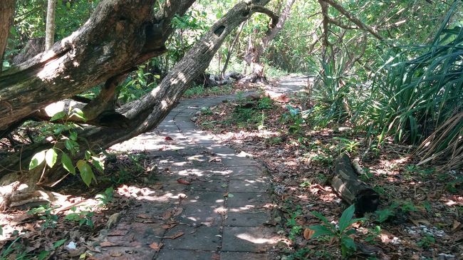 道は整備されて不安はない。