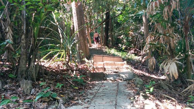 ビューポイントなのでかなり坂を上る。<br />これは仕方がない。けっこう途中で引き返す人も多い。