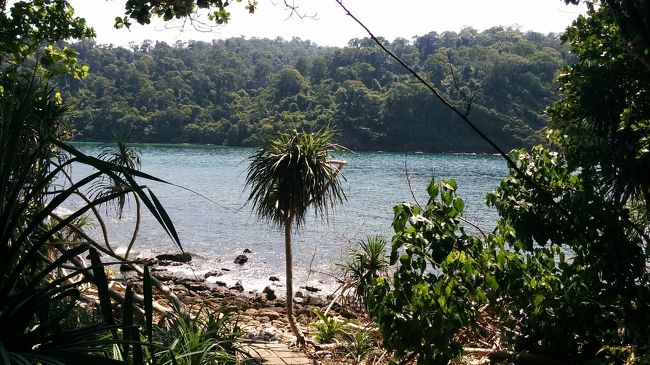 山を下って海岸に降りる。ここまであった遊歩道が途切れている。