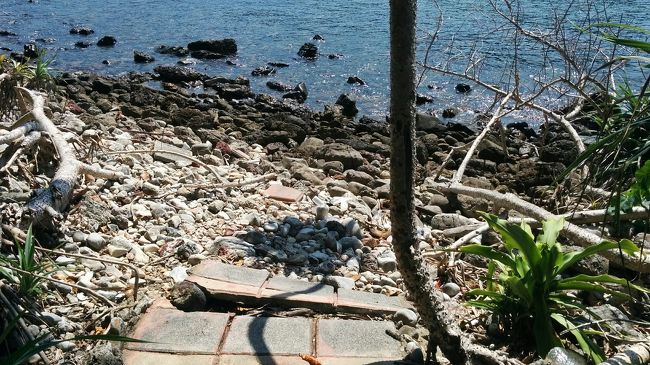 時間も体力もないのでとりあえず先に進む。