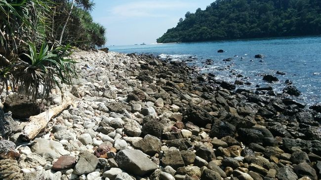 これは絶対遊歩道ではない‼<br />先も見えなくなっている。最悪、足ヒレやマスクを持っているので海から行こうと思った。