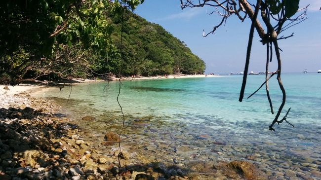 岩場を抜けるとこの景色に出会う！<br />助かった。でも集合時間まであと１０分しかない‼<br />なんとか５分前に到着した。