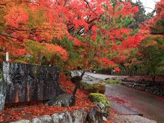 7：30　胡宮神社（このみやじんじゃ）

元は戦国時代に焼き討ちされ消失した敏満寺（びんまんじ）の鎮守社。
真っ赤な紅葉は血染めの紅葉と呼ばれる。


拝観料　無料
駐車場　無料