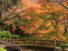 9：00　清瀧寺（せいりゅうじ）徳源院（とくげんいん）

鎌倉時代から続く大名家 京極氏の菩提寺。
池泉回遊式庭園は県の名勝


拝観料　500円
駐車場　無料