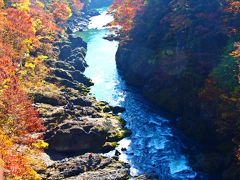 高津戸峡の紅葉は、このはねたき橋から眺める景色が最も美しいとされている。