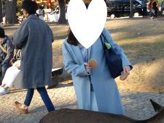 奈良公園で鹿に遊ばれ(*^▽^*)