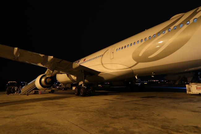 アタテュルク国際空港が閉鎖になる前に イスタンブール トルコ の旅行記 ブログ By Takluftさん フォートラベル アタテュルク国際空港が閉鎖になる前に イスタンブール トルコ の旅行記 ブログ By Takluftさん フォートラベル