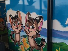 空港入口では対馬山猫がお迎えしてくれます。