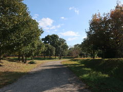 九年庵公開中のみのバスだったようです。
入口も臨時の入口で、吉野ヶ里公園の
メイン観光地に近く便利でした。