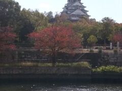 紅葉がちょうどきれい時期でした。
この大阪城にたどり着くまでに連れが新幹線切符を座席に忘れ清算窓口にて対応して貰う（電話で新幹線内の乗務員に問い合わせしてくれて切符確認後出場切符発券を受け取り解決）宿で荷物を預かれない事態が発覚していたので前日にルート検索してコインロッカーを探しておいて帰りのアクセスで手戻りにならないようにして預けようとしたら行く先々でコインロッカー満杯！
結局、宿のある京橋駅にて預ける。そして京橋駅からはほど近い大阪城（翌日観光にしようかと思っていたけど近いから行っちゃった）