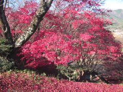 晩秋の紅葉