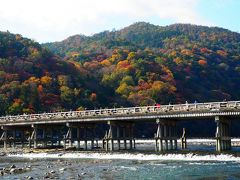 電車の中からすごい人でしたが、橋の上はのろのろ歩きの大混雑。