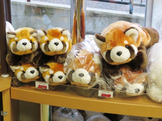北海道レッサーパンダ遠征 温泉ホテルとグルメの旅 11 旭山動物園 釧路動物園 円山動物園それぞれの雪景色と園内ショップと動物グッズのおみやげ 北海道の旅行記 ブログ By まみさん フォートラベル