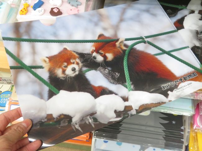北海道レッサーパンダ遠征 温泉ホテルとグルメの旅 11 旭山動物園 釧路動物園 円山動物園それぞれの雪景色と園内ショップと動物グッズのおみやげ 北海道の旅行記 ブログ By まみさん フォートラベル